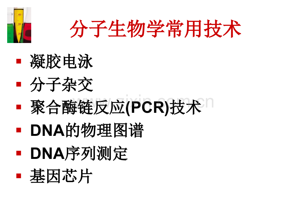 分子生物学常用技术专题培训课件.ppt_第2页