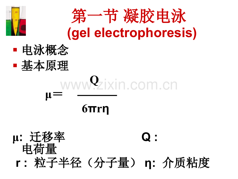 分子生物学常用技术专题培训课件.ppt_第3页