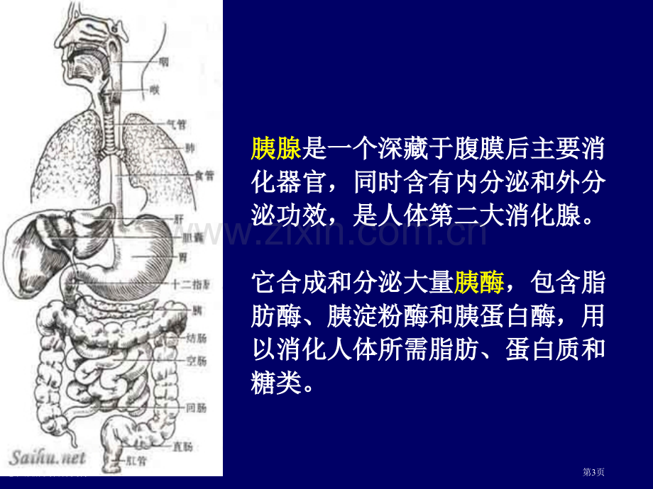 急性胰腺炎营养支持.pptx_第3页