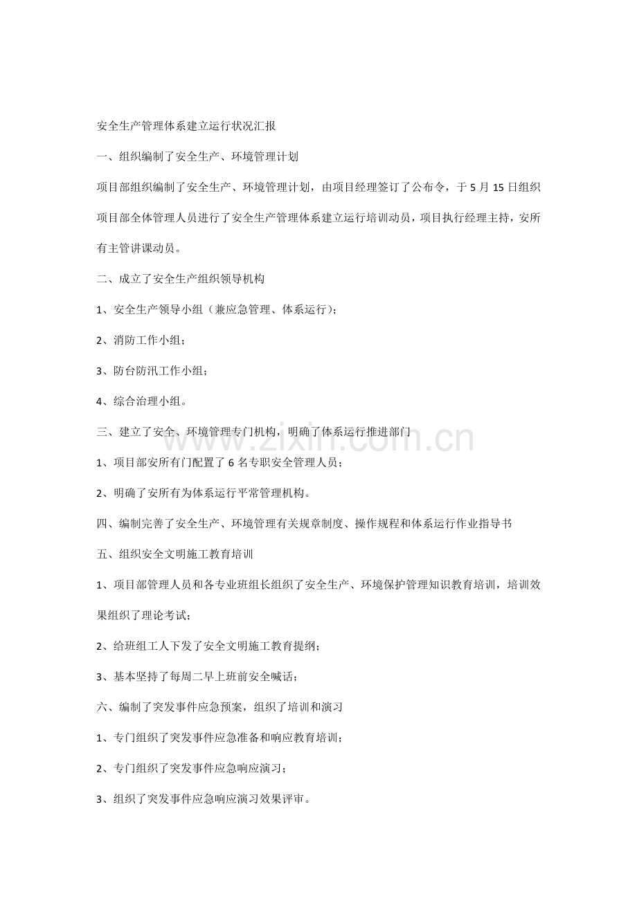 安全生产管理体系建立运行情况汇报.docx_第1页