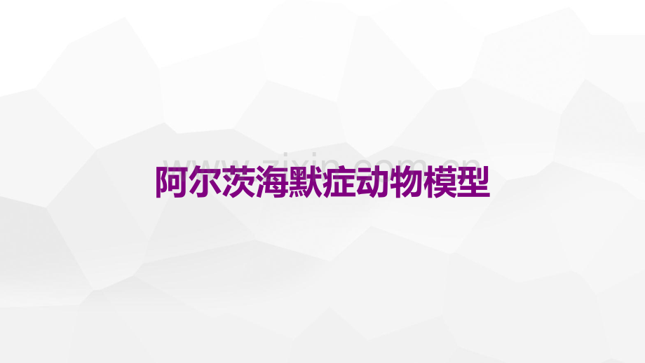 阿尔茨海默症动物模型.ppt_第1页