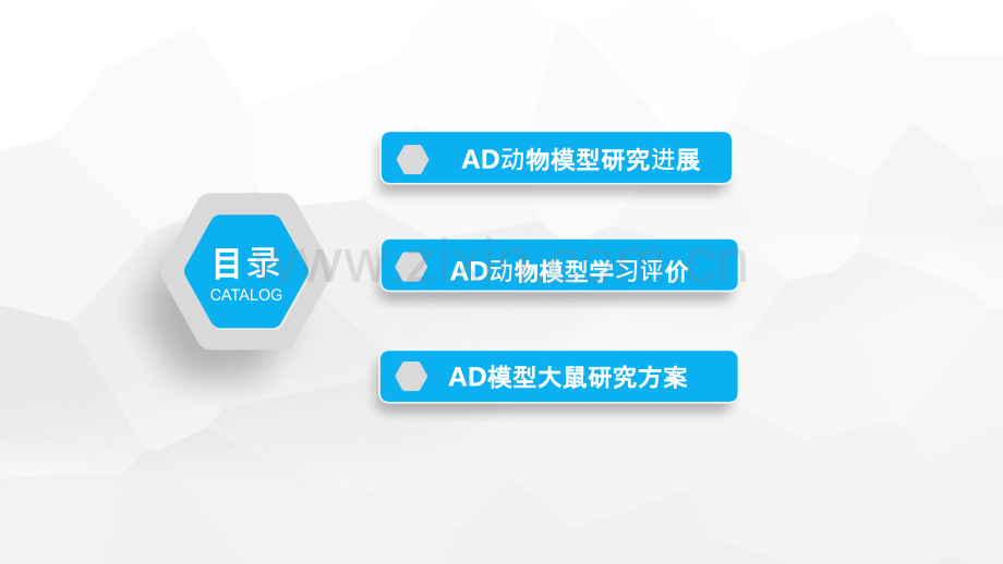 阿尔茨海默症动物模型.ppt_第3页