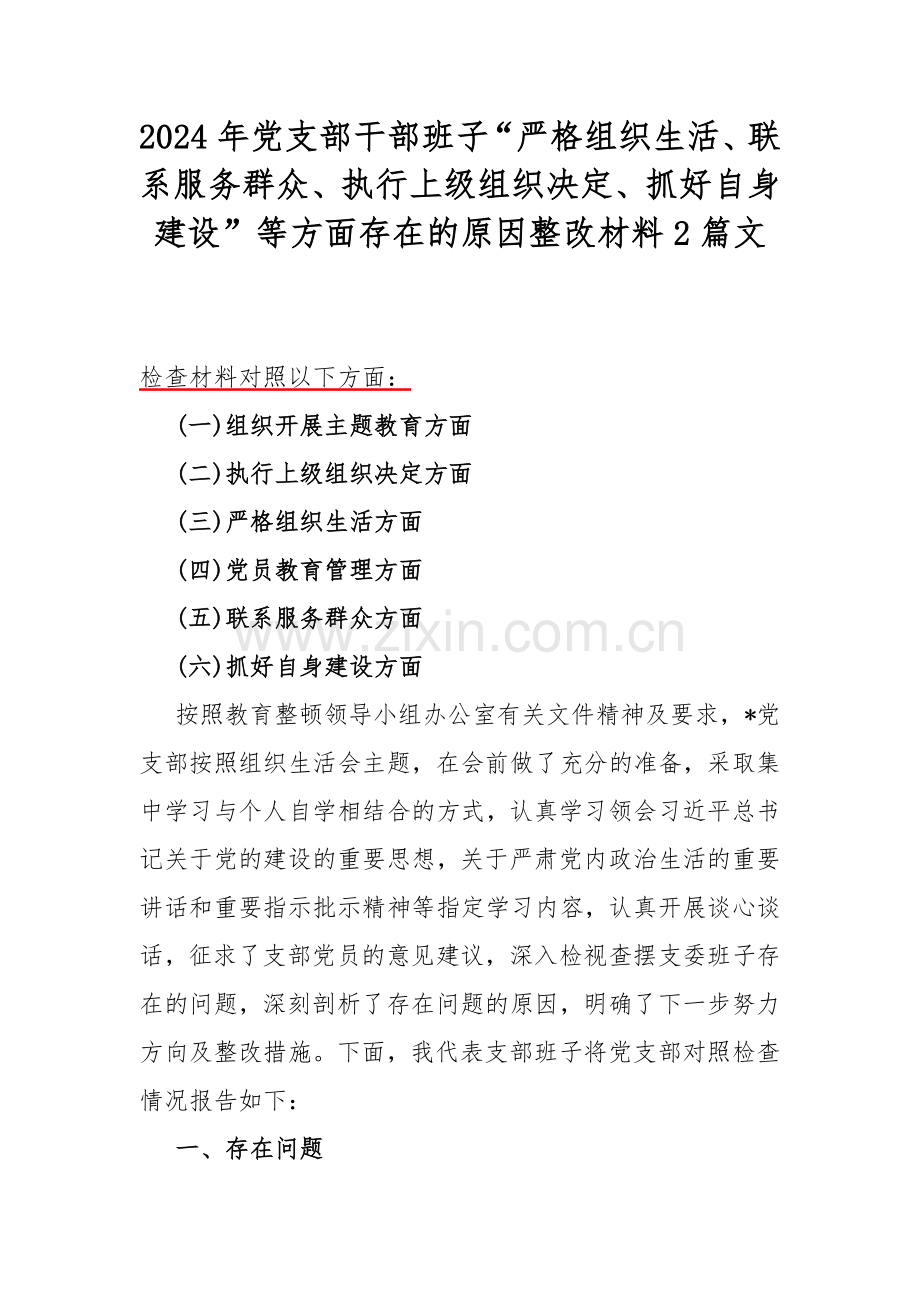 2024年党支部干部班子“严格组织生活、联系服务群众、执行上级组织决定、抓好自身建设”等方面存在的原因整改材料2篇文.docx_第1页