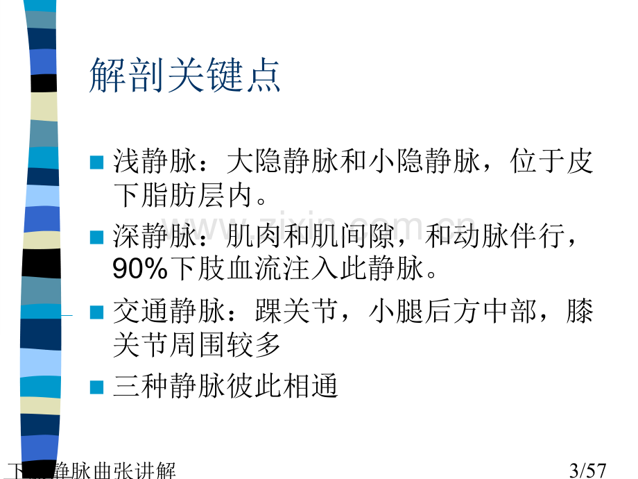 下肢静脉曲张讲解.ppt_第3页
