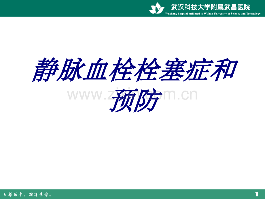 静脉血栓栓塞症和预防PPT医学课件.ppt_第1页