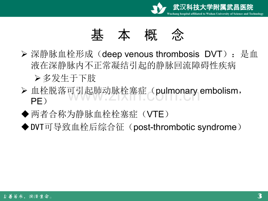 静脉血栓栓塞症和预防PPT医学课件.ppt_第3页