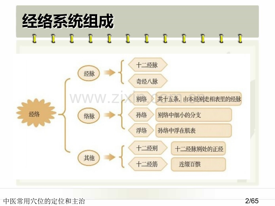 中医常用穴位的定位和主治.ppt_第2页