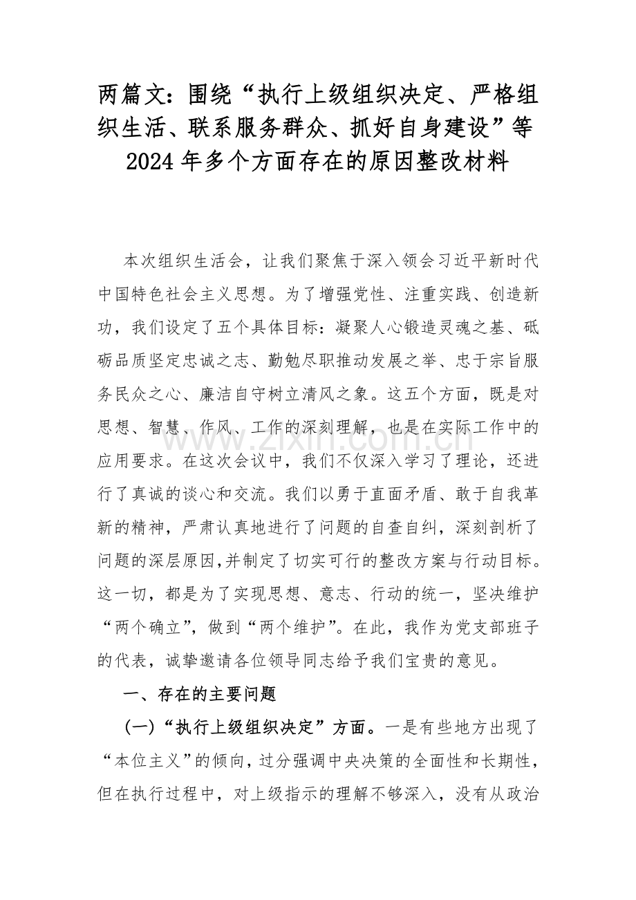 两篇文：围绕“执行上级组织决定、严格组织生活、联系服务群众、抓好自身建设”等2024年多个方面存在的原因整改材料.docx_第1页