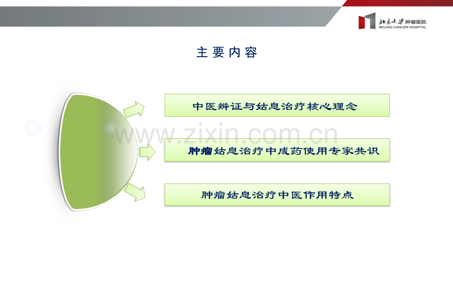 医学李萍萍中医在肿瘤姑息治疗中的作用特点PPT培训课件.ppt_第3页