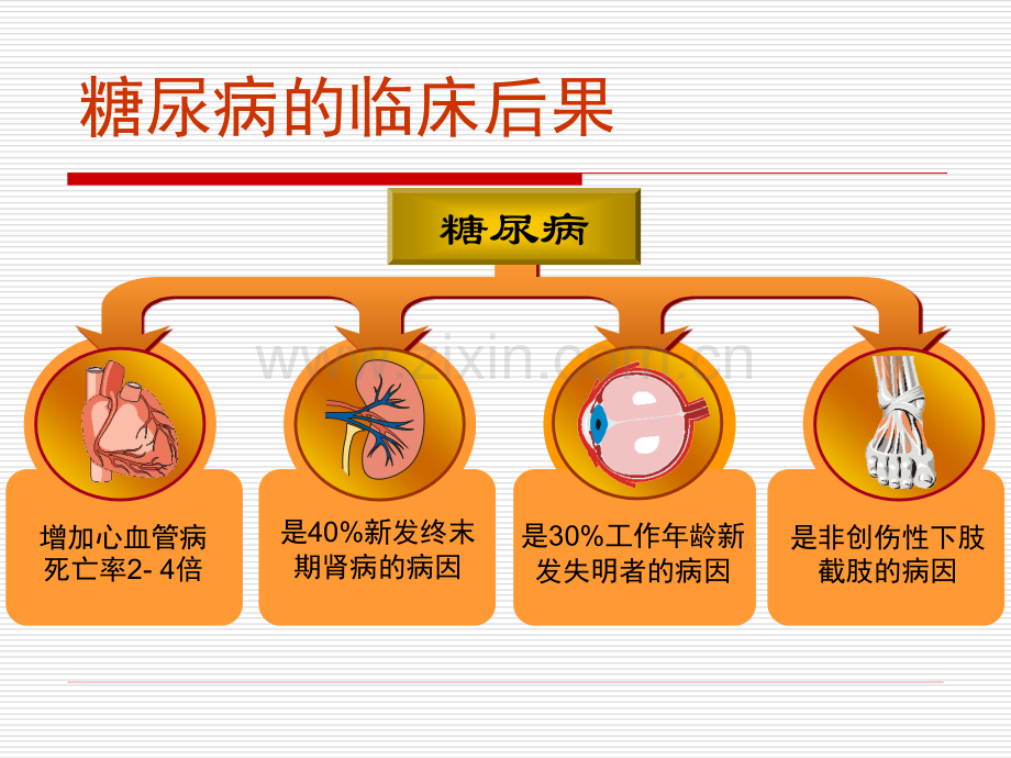 糖尿病肾病PPT课件.ppt_第2页