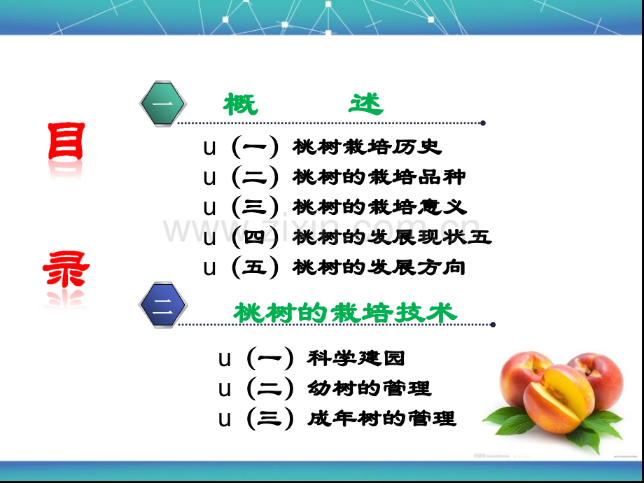 桃树栽培技术课件.ppt_第2页