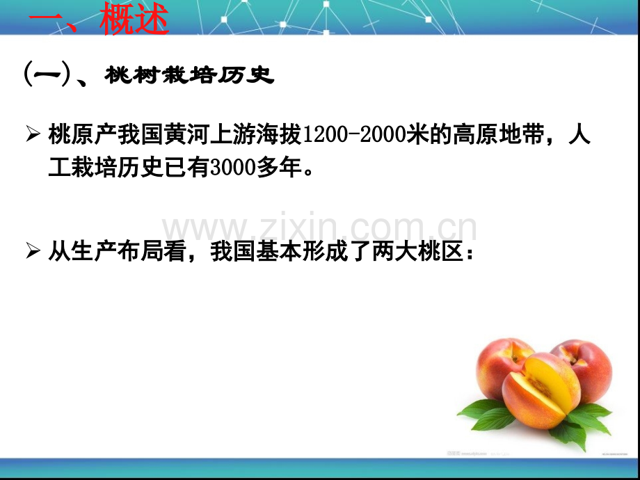 桃树栽培技术课件.ppt_第3页