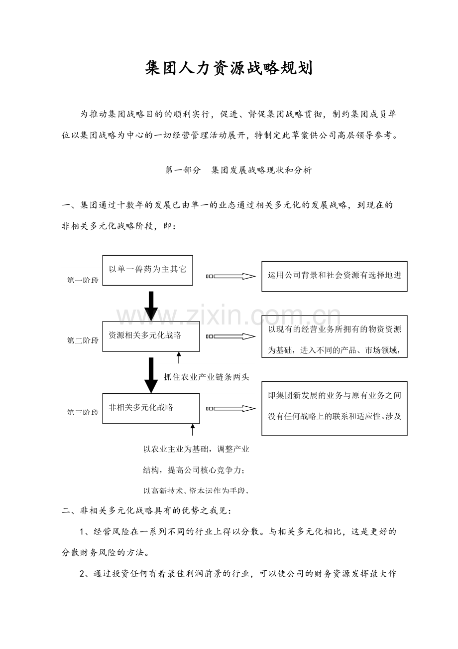 集团多元化公司人力资源战略规划.doc_第1页