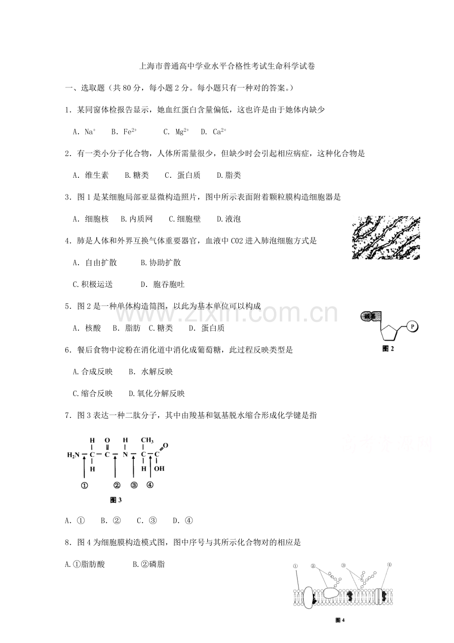 2021年上海市普通高中学业水平合格性考试生物试卷考.doc_第1页