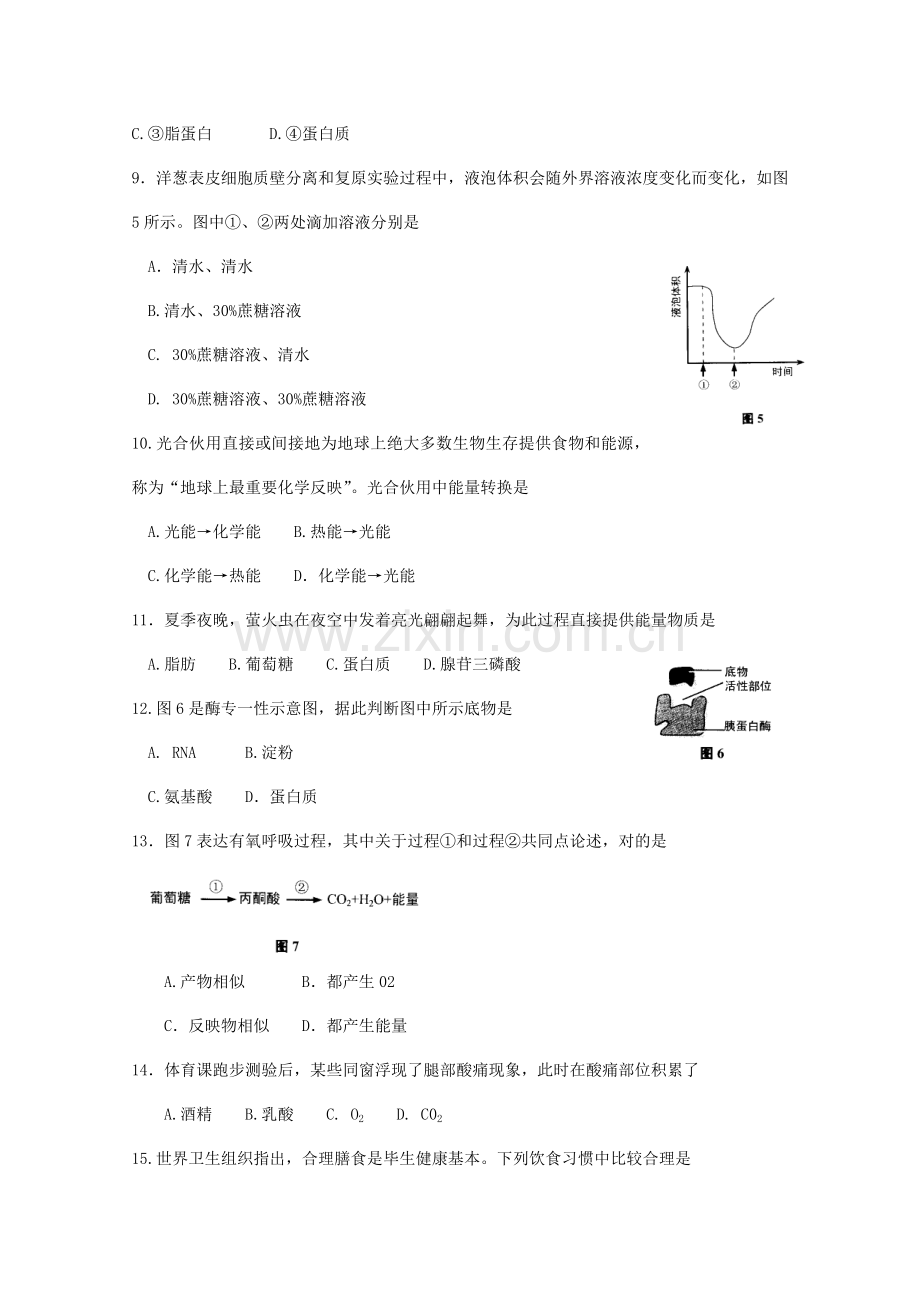 2021年上海市普通高中学业水平合格性考试生物试卷考.doc_第2页