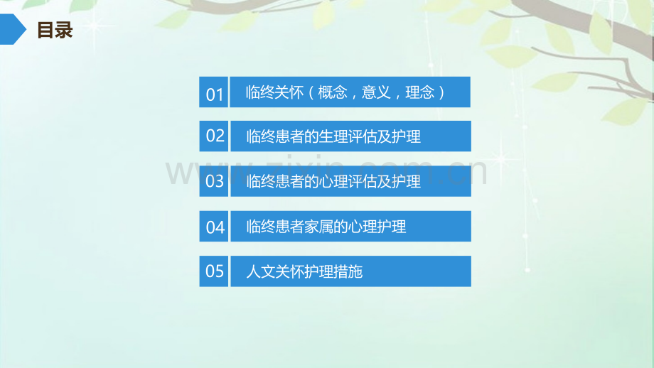 肿瘤患者的临终关怀PPT优质课件.ppt_第2页