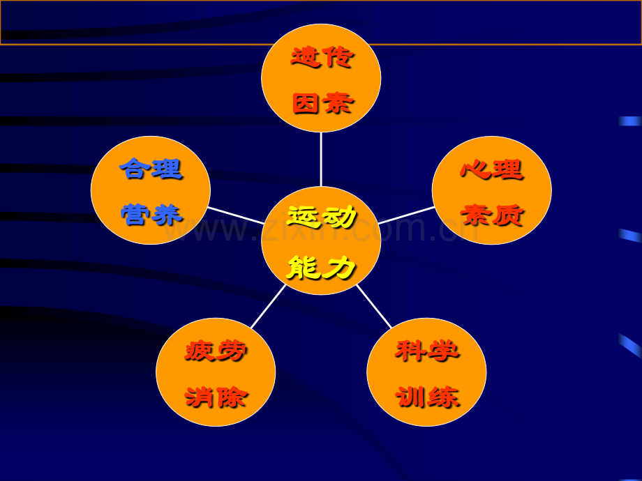 运动员营养配餐.ppt_第1页