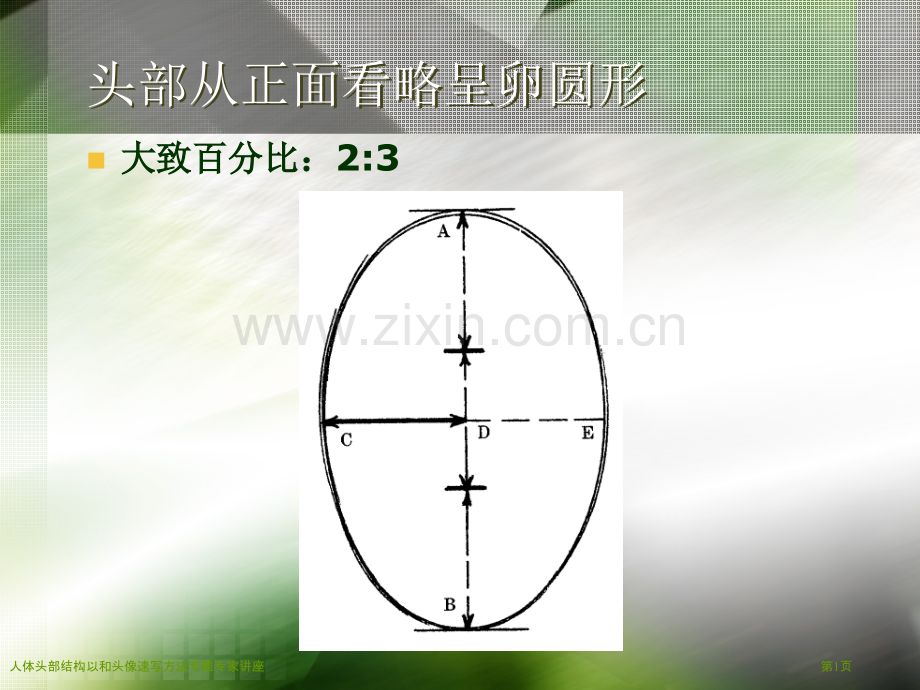 人体头部结构以和头像速写方法专题专家讲座.pptx_第1页