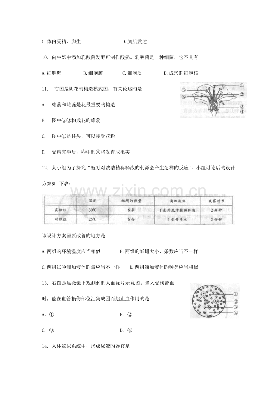 2023年南通市初中学业水平测试生物试题及答案.doc_第3页