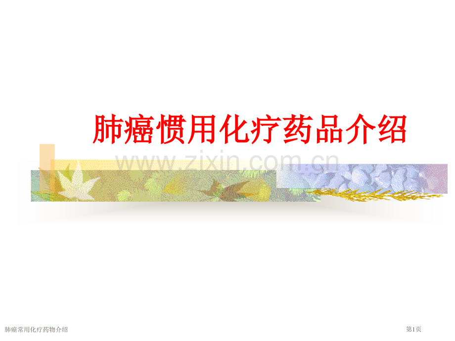 肺癌常用化疗药物介绍.pptx_第1页