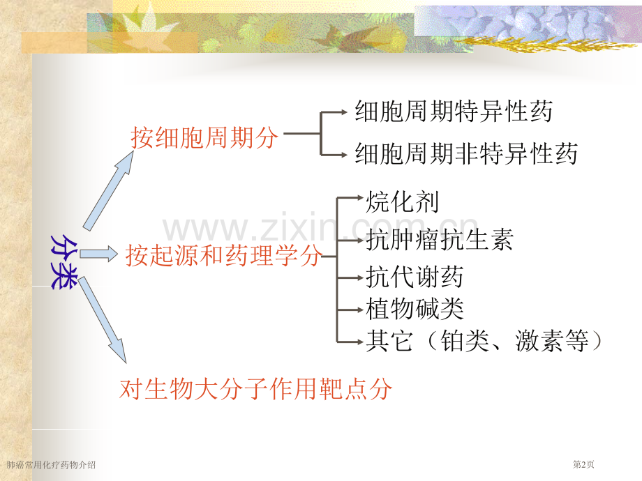 肺癌常用化疗药物介绍.pptx_第2页