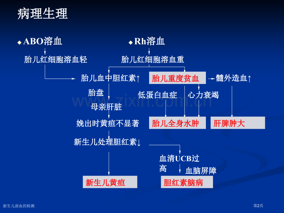 新生儿溶血的检测专家讲座.pptx_第2页