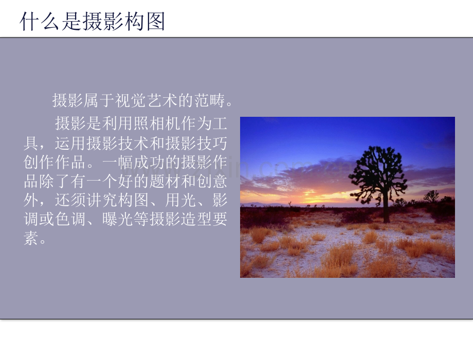 《摄影构图》PPT培训课件.ppt_第2页