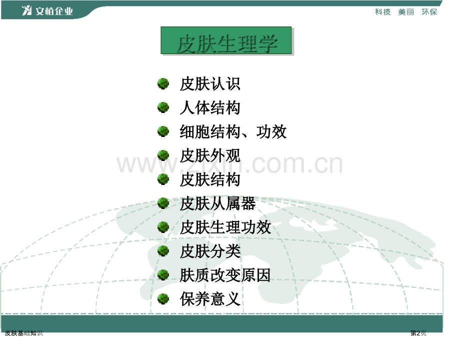 皮肤基础知识.pptx_第2页