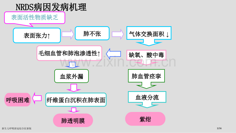 新生儿呼吸窘迫综合征新版.pptx_第3页