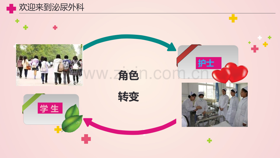 医学泌尿外科实习同学入科宣教PPT培训课件.ppt_第3页