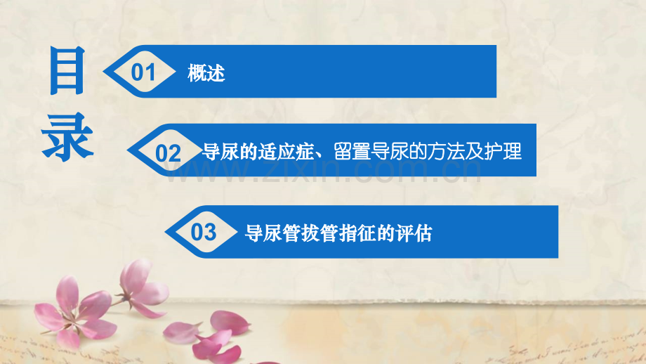 留置导尿护理指南讲义.ppt_第2页