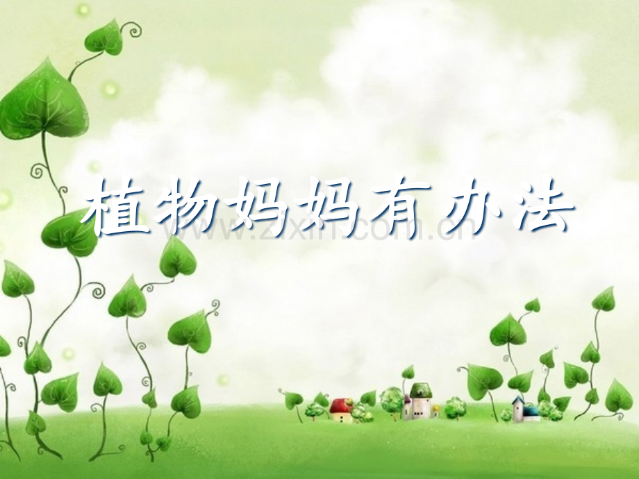 《植物妈妈有办法》PPT课件.ppt_第2页