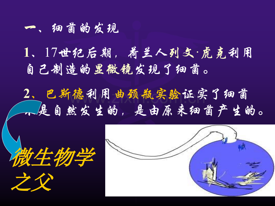 八年级生物细菌课件ppt课件.ppt_第2页