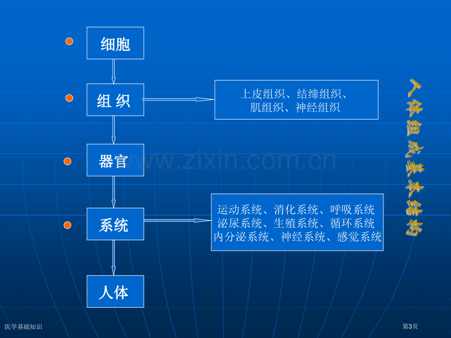 医学基础知识专家讲座.pptx_第3页