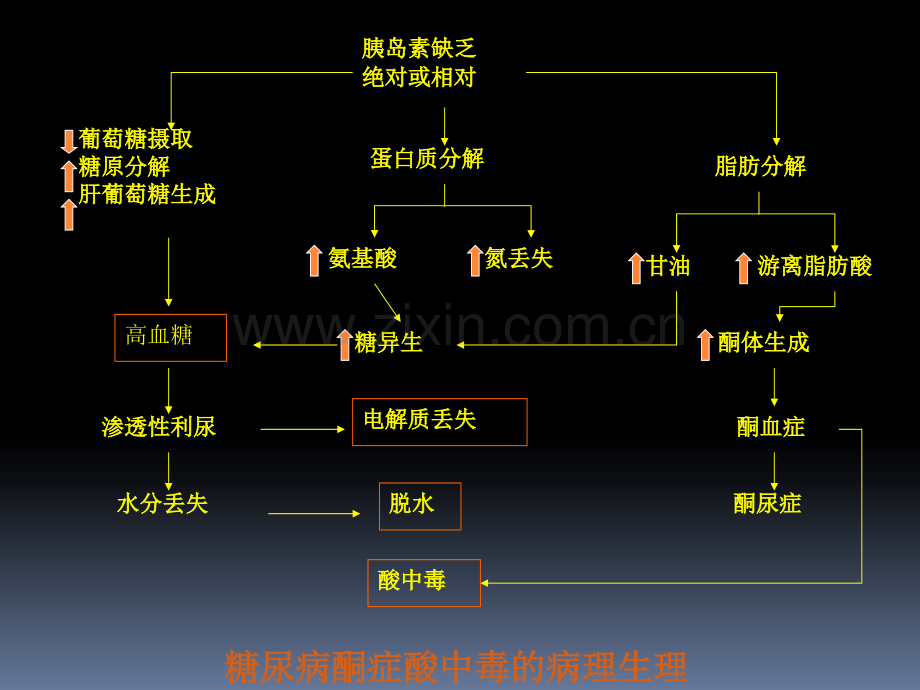 糖尿病酮症酸中毒治疗PPT课件.ppt_第3页