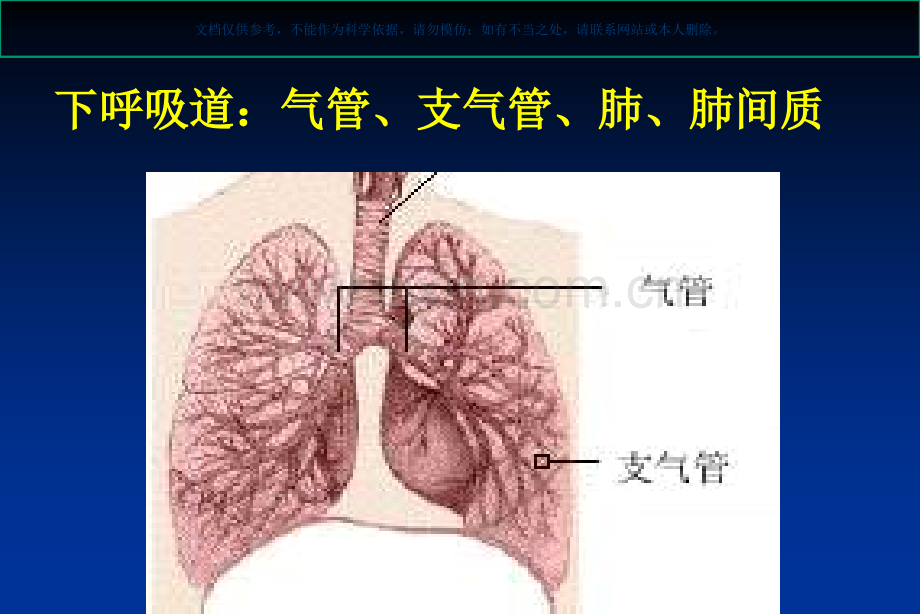 老年肺部感染和抗菌药物的应用课件.ppt_第2页