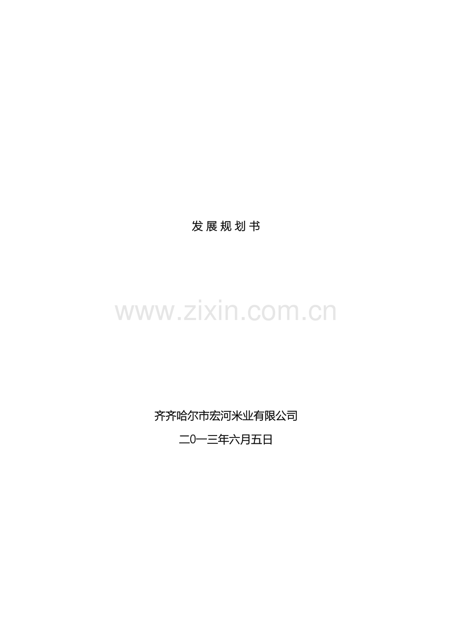 企业发展规划书.doc_第2页