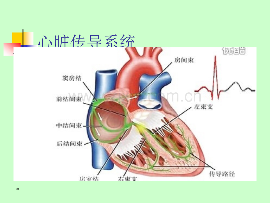 常见病心电图表现.ppt_第3页