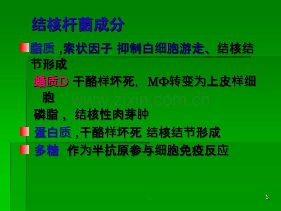 TB结核ppt课件.ppt_第3页