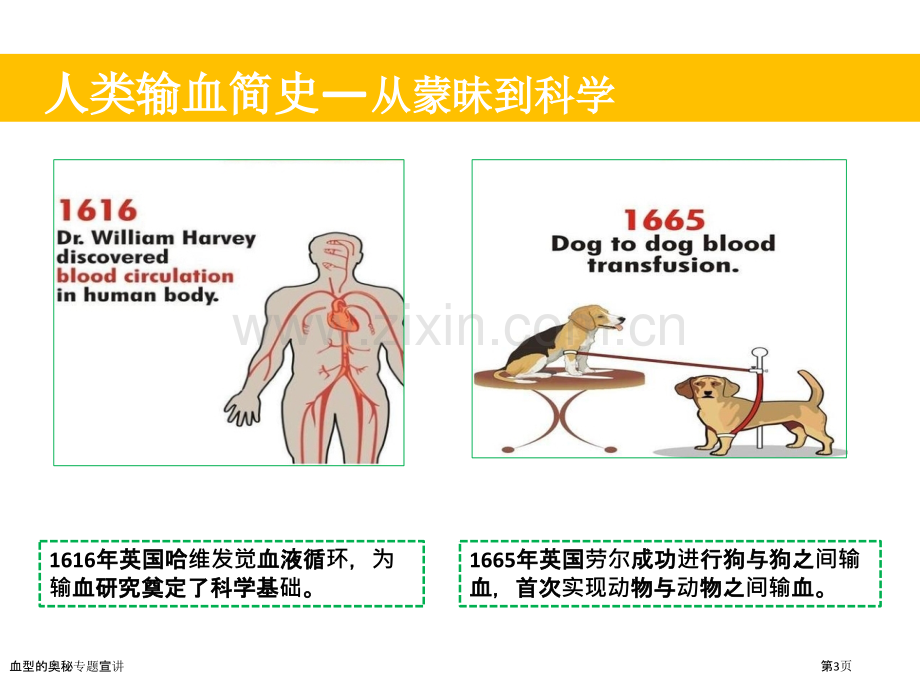 血型的奥秘专题宣讲.pptx_第3页