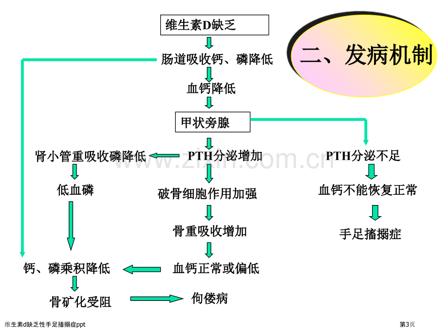 维生素d缺乏性手足搐搦症ppt.pptx_第3页