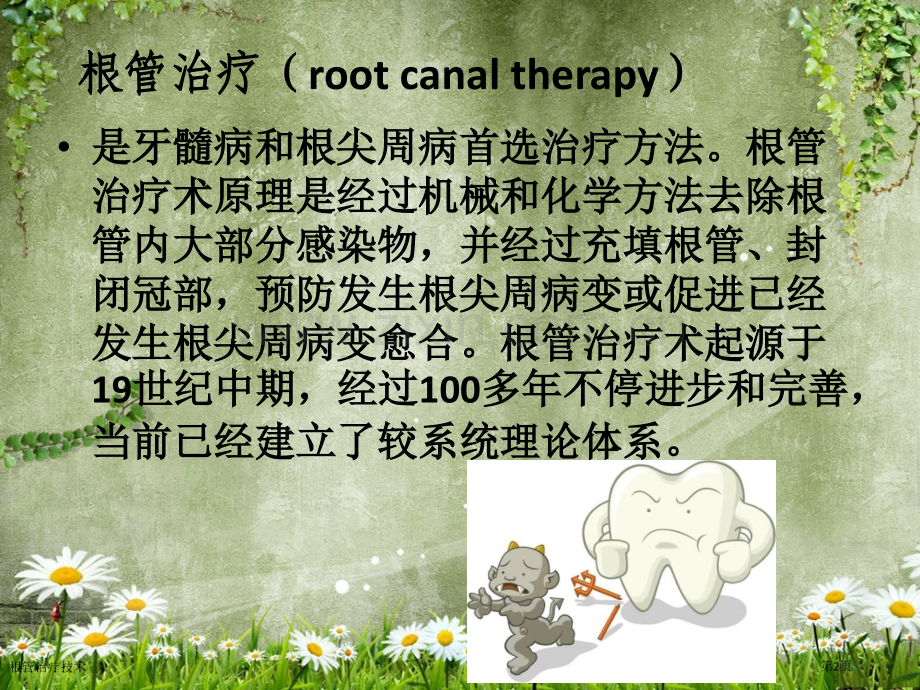 根管治疗技术.pptx_第2页