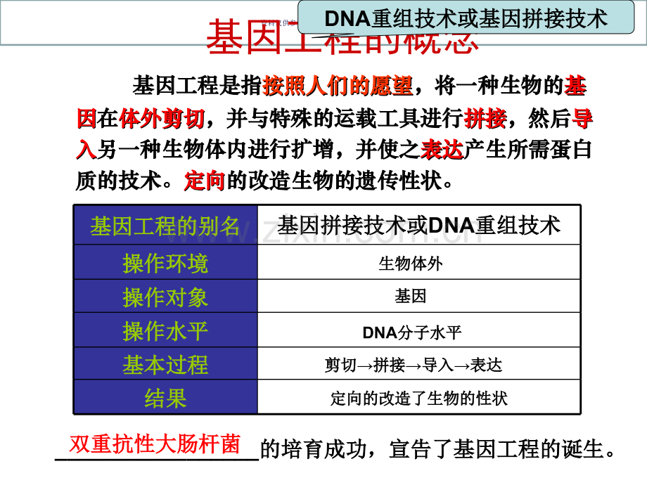 基因工程的原理.ppt_第1页