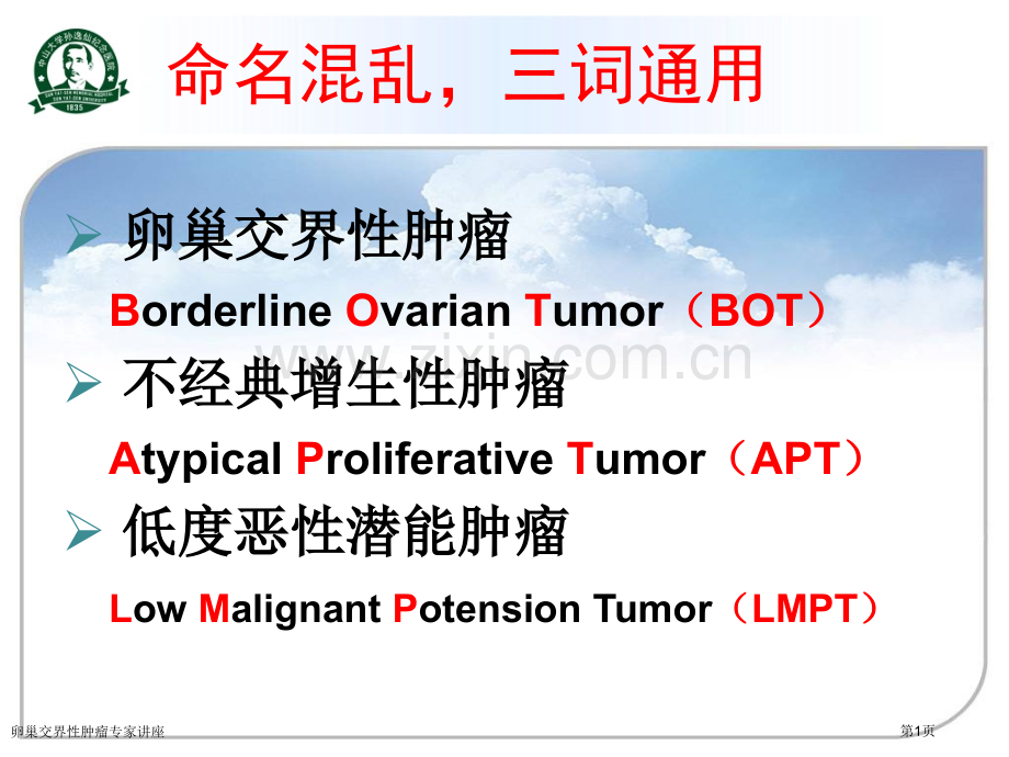 卵巢交界性肿瘤专家讲座.pptx_第1页