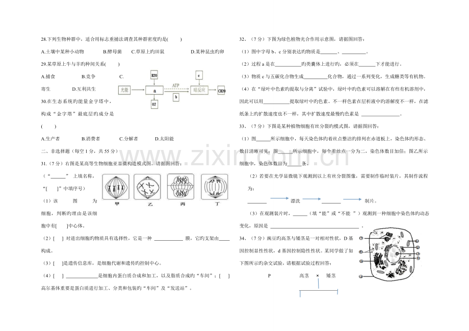 2023年甘肃省普通高中夏季学业水平考试试题生物.doc_第3页