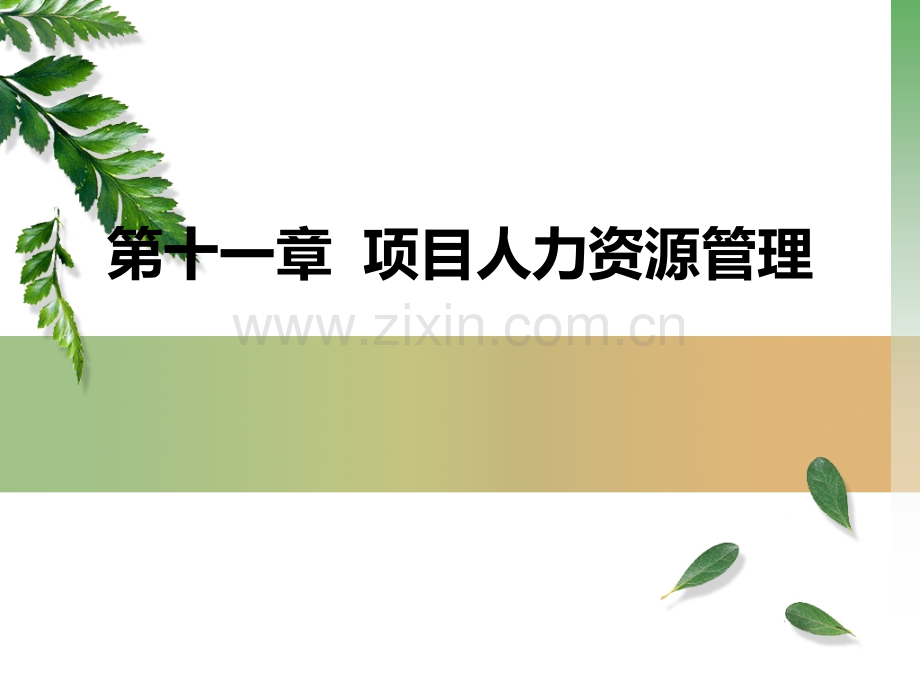 项目人力资源管理PPT课件.ppt_第1页