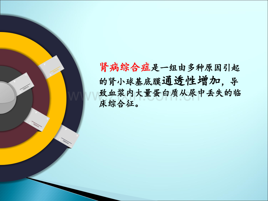 肾病综合征发病机制ppt课件.pptx_第2页