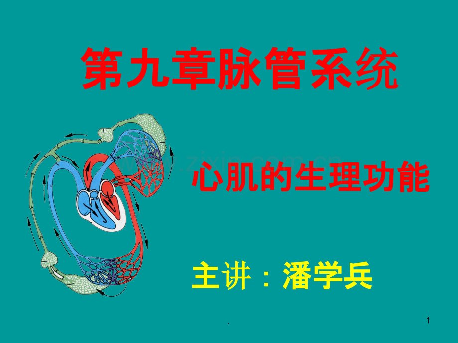 心肌生理PPT课件.ppt_第1页