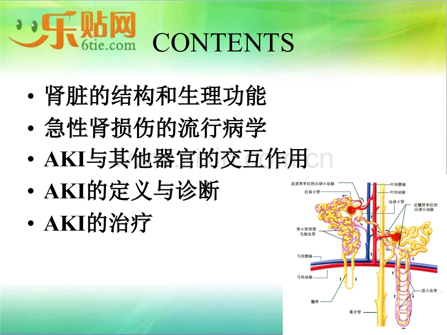 AKI的诊断与治疗.ppt_第3页