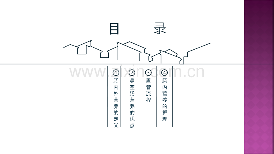 鼻空肠营养的应用及护理.ppt_第2页